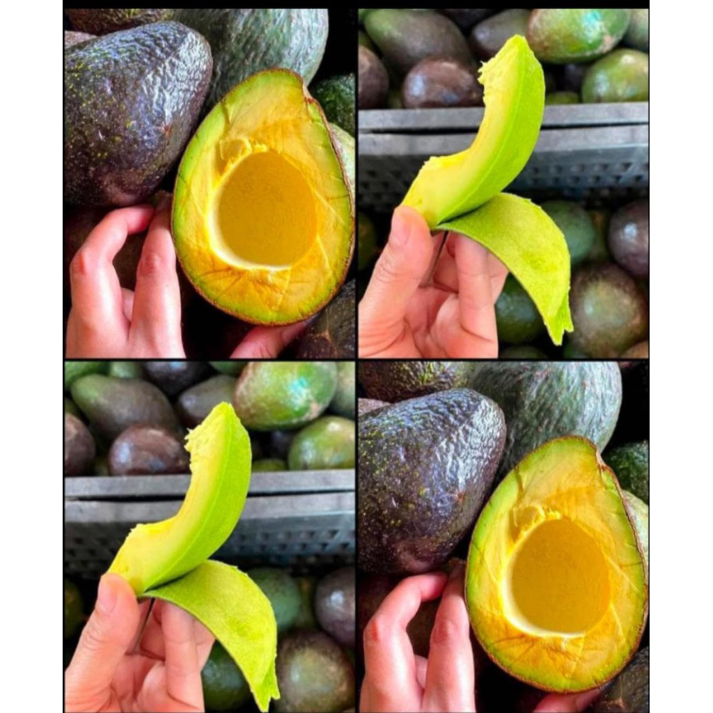 

Alpukat mentega jawatimur lokal enak1kg