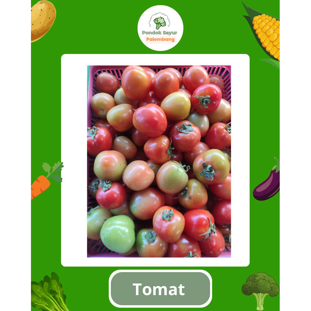 

PALEMBANG • tomat sayur buah fresh Palembang sayur tomat merah tomat hijau Palembang