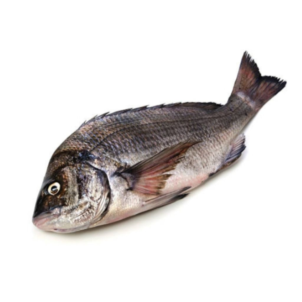 

Ikan Mujaer Fresh 1 Kg Segar