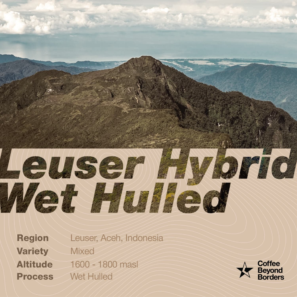 

Arabica Green Beans - Leuser Hybrid Wet Hulled