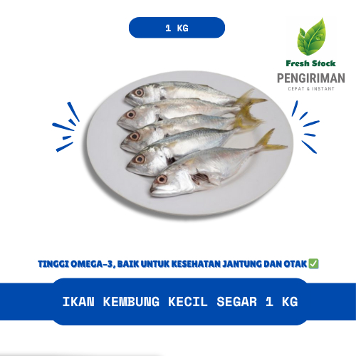 

IKAN KEMBUNG KECIL SEGAR 1 KG - FreshStock