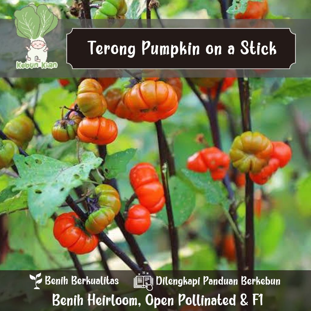 

15 Terong Pumpkin on a Stick.