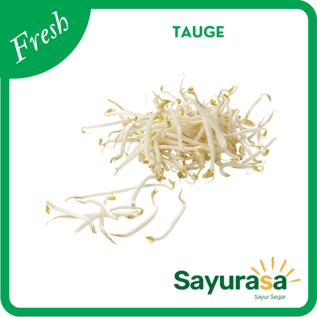 

Toge Segar / Tauge Fresh 250 gram (Sayur Segar)
