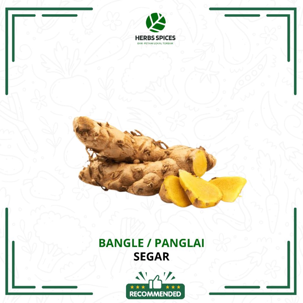 

Bangle / panglai / umbi bangle segar -Herbspice