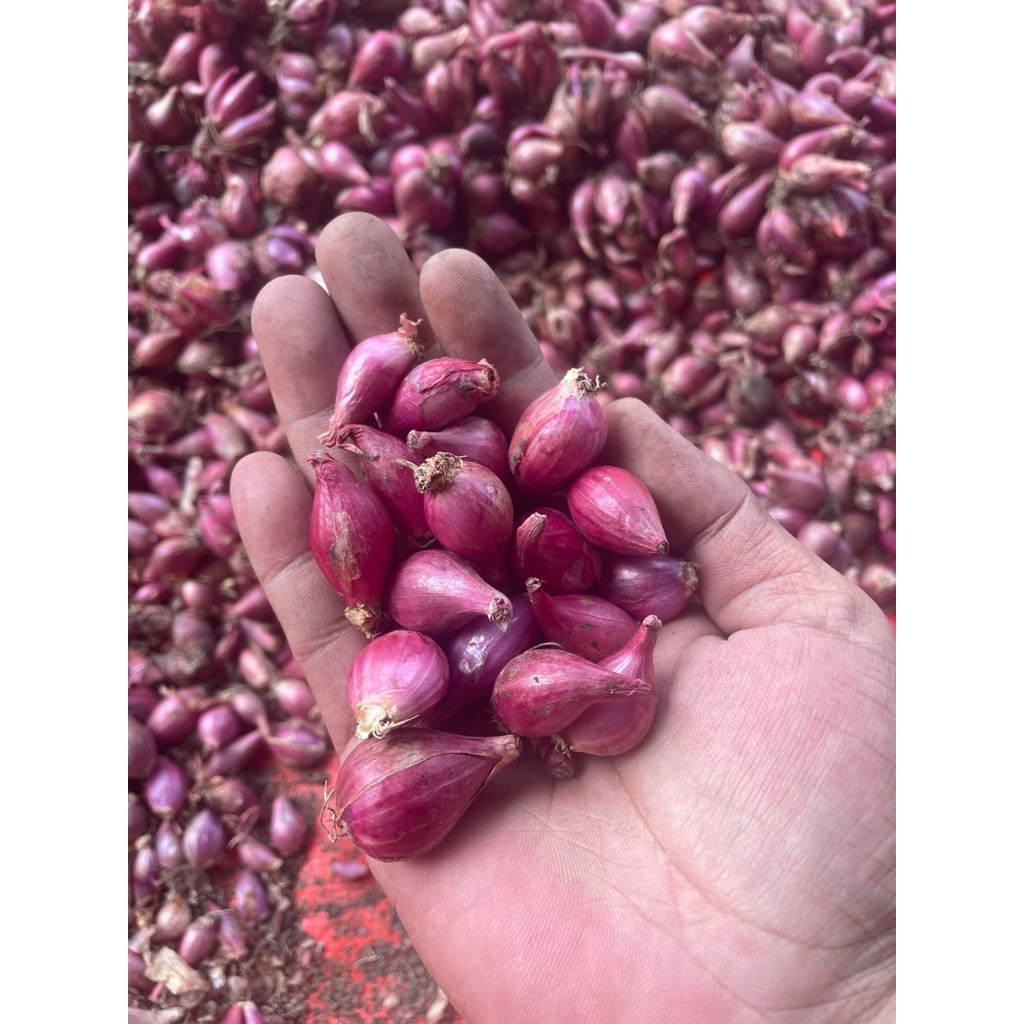 

BAWANG MERAH BREBES 250GR/500GR/1KG SUPER