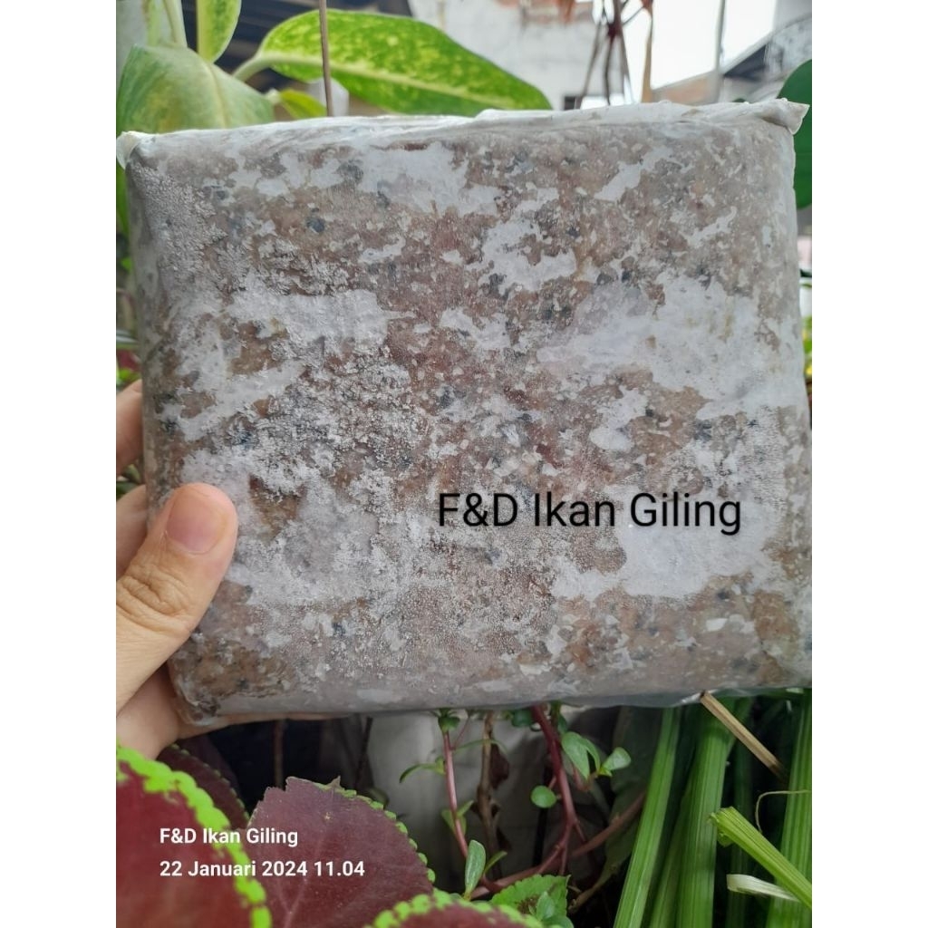 

kulit tenggiri giling di Bandung