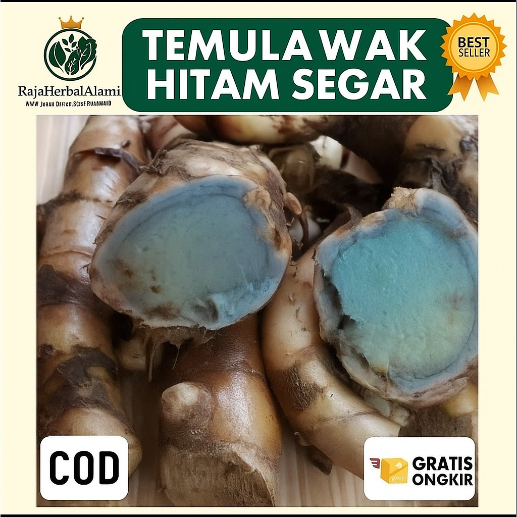 

Temulawak Hitam Segar – Herbal Alami Untuk Kesehatan Liver & Stamina Tubuh l COD & GRATIS ONGKIR