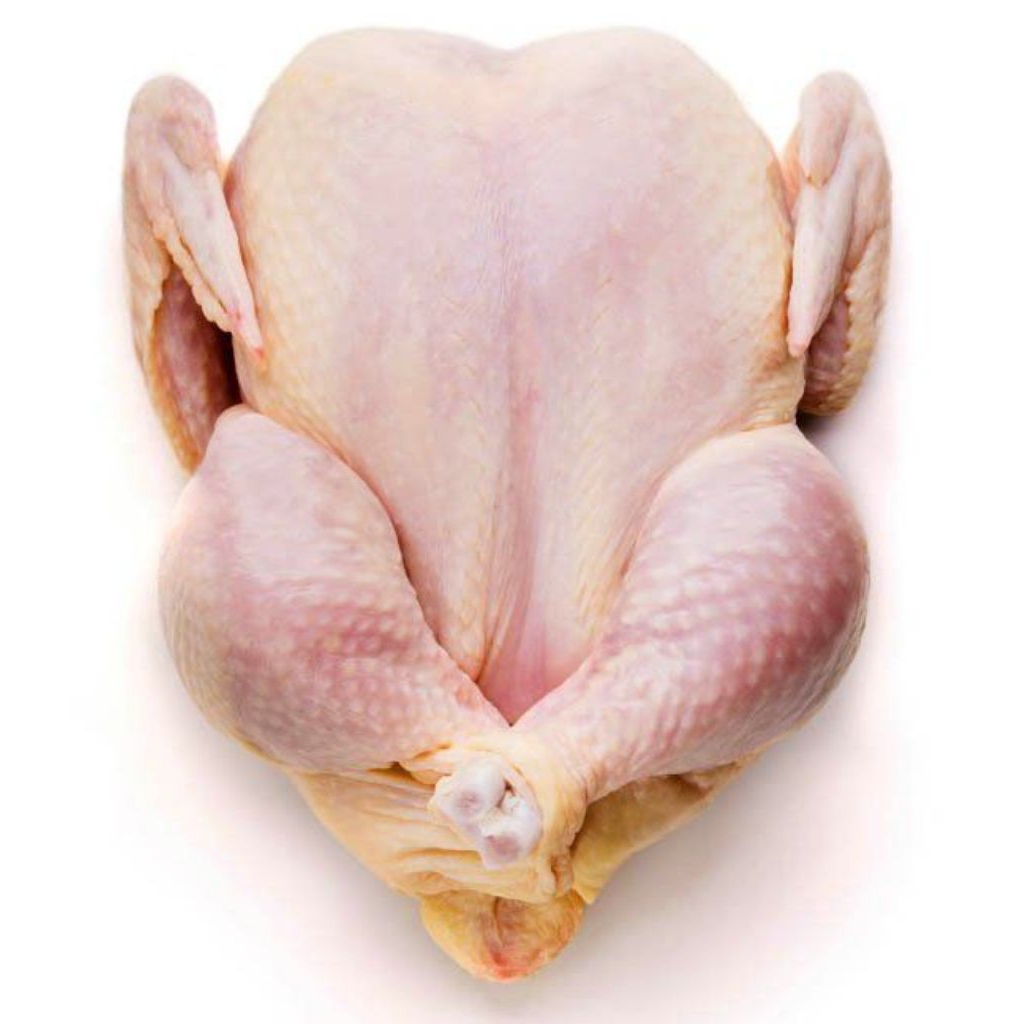 

ayam karkas broiler segar fresh berat hidup 1,5 kg