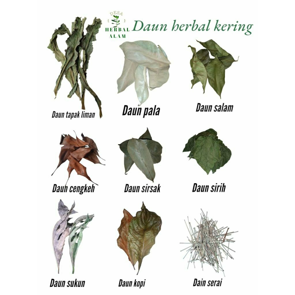 

serba 3ribu daun herbal kering, Daun salam, Daun sirsak, Daun meniran. daun sirih. daun tapak liman. daun pala, daun sukun, daun nangka, daun serai, daun kopi