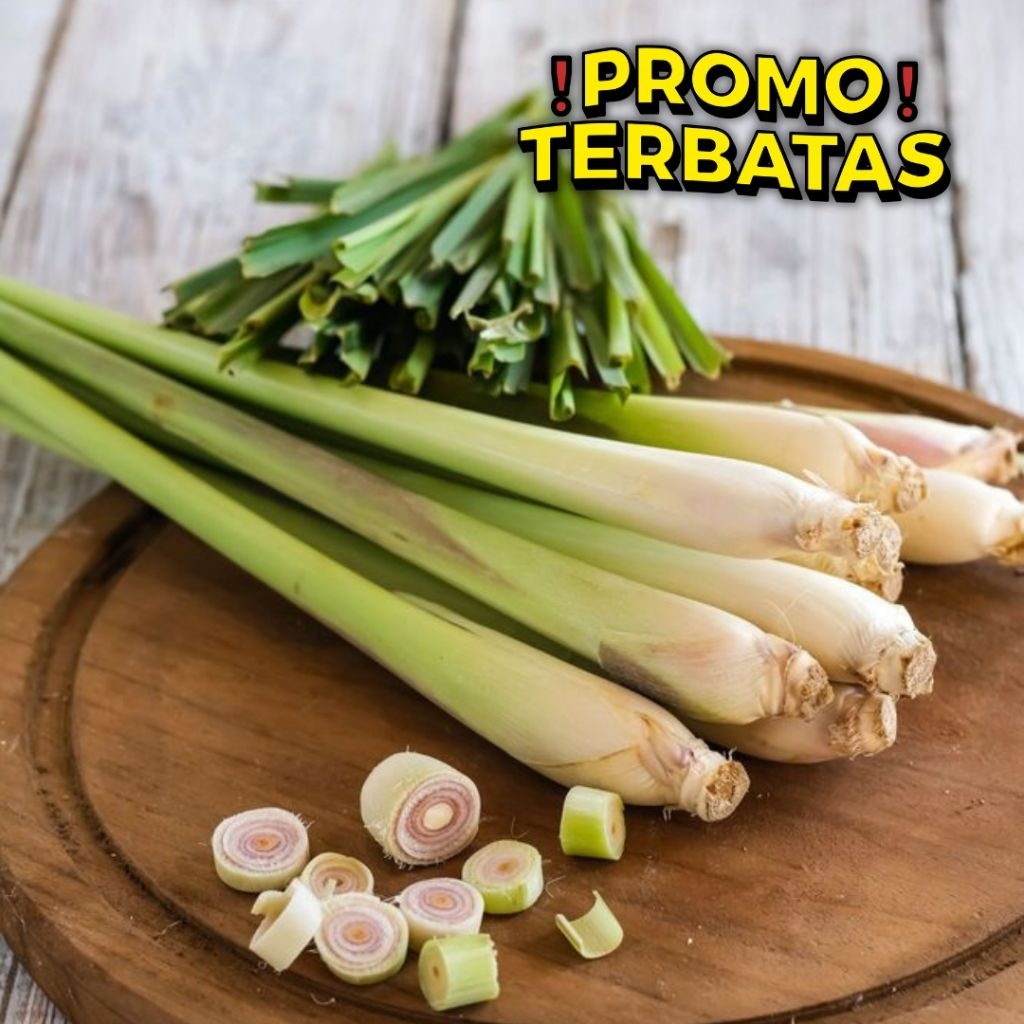 

Sereh / Serai Fresh 200 gr Bahan JSR Segar Kirim Cepat