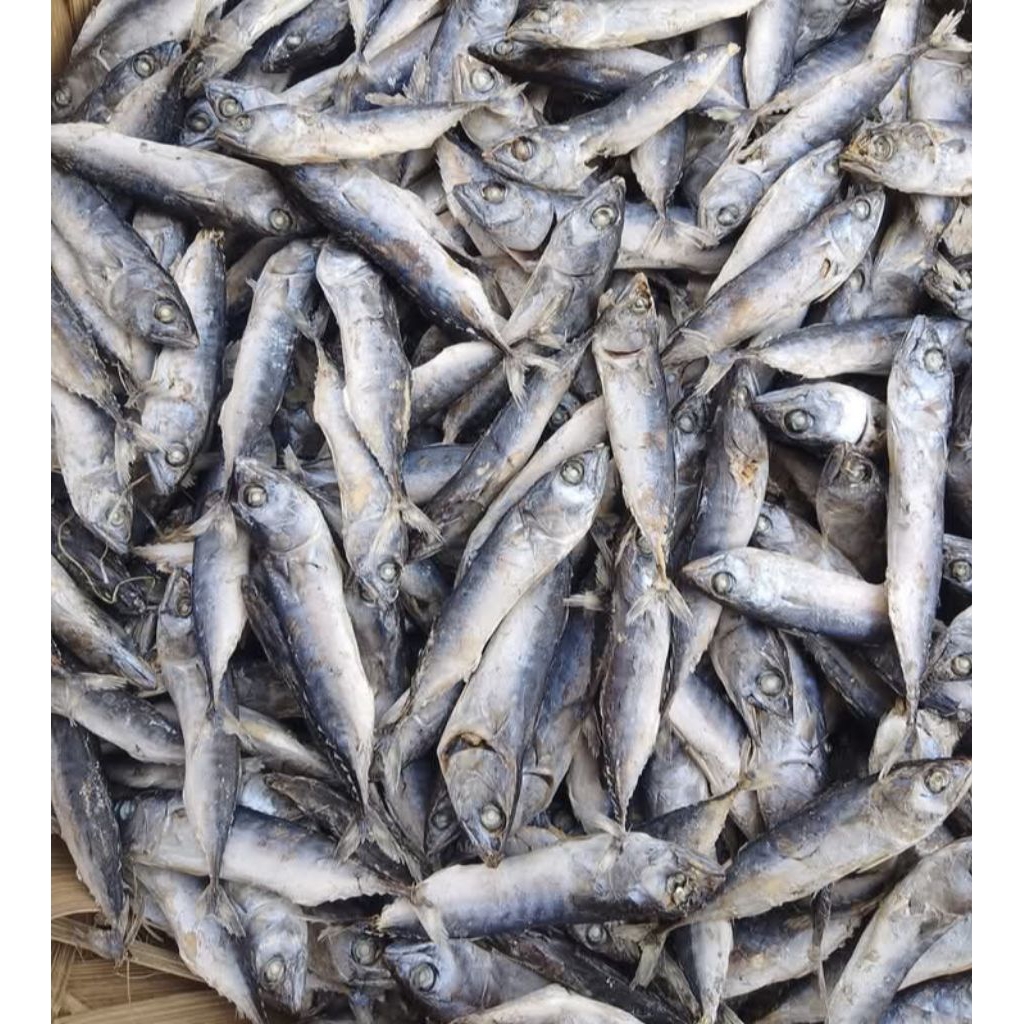 

Ikan Asin Rebus Tongkol 500 Gram ( Setengah Kilogram )
