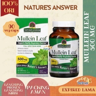 mullein leaf extract  for Lung Cleanse Supports Healthy Respiratory Function Mulittea Natural Mullei