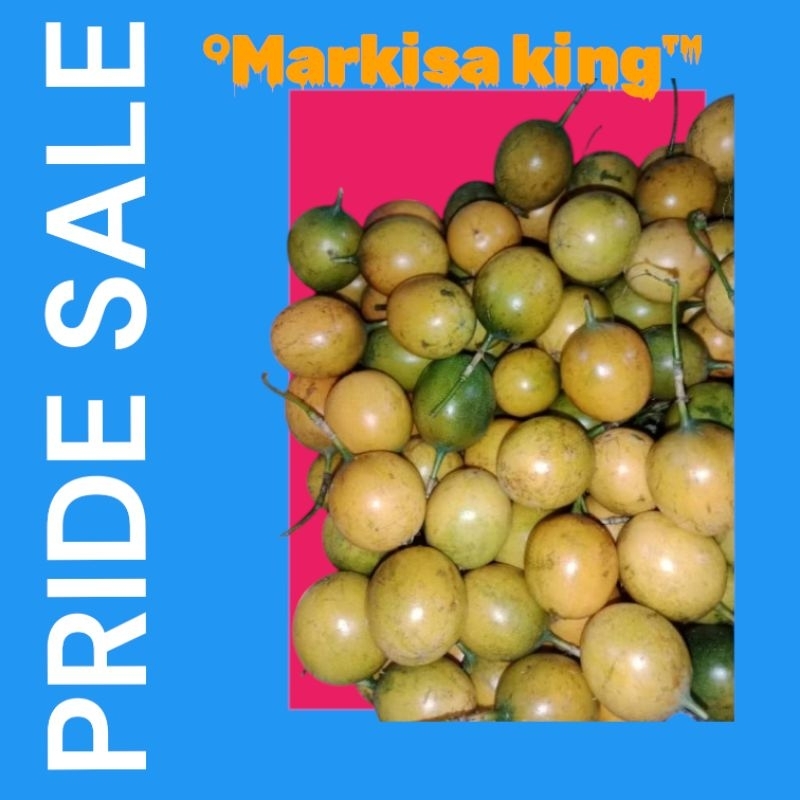 

1kg buah Markisa konyal Garut fresh