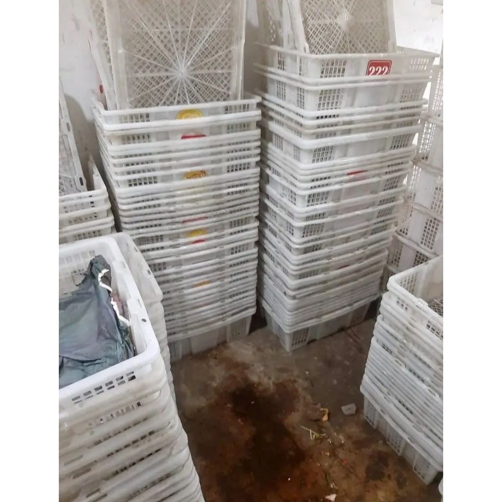 keranjang bekas kelengkeng putih bersih