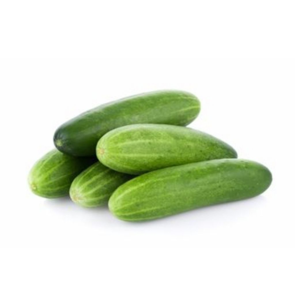 

Timun Segar Berkualitas Baik 500 gram