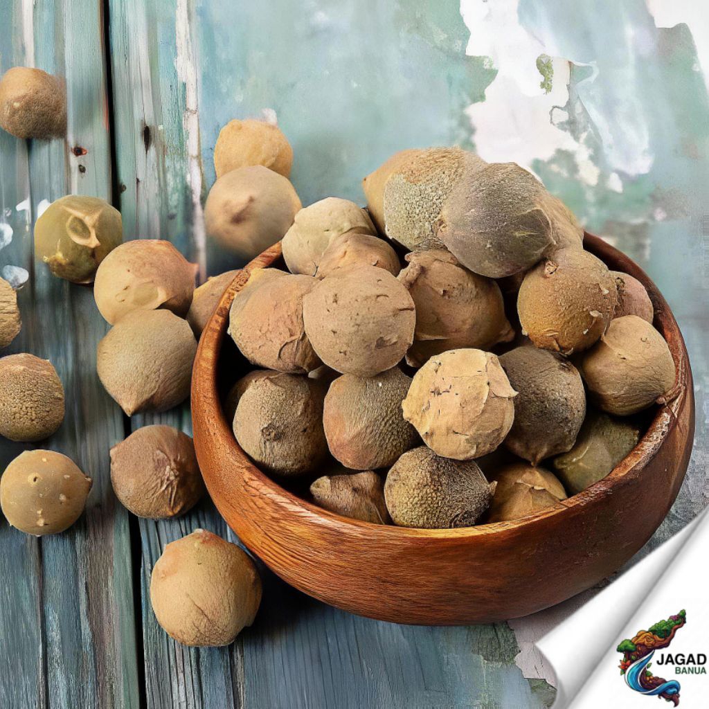 

Buah Manjakani Utuh Kering Asli Kalimantan | JAGAD