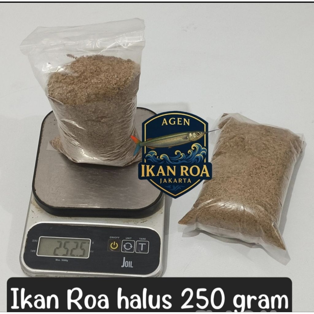 

Ikan Roa asap halus berat 250 gram. Asli Ikan Roa tidak dioplos ikan lain