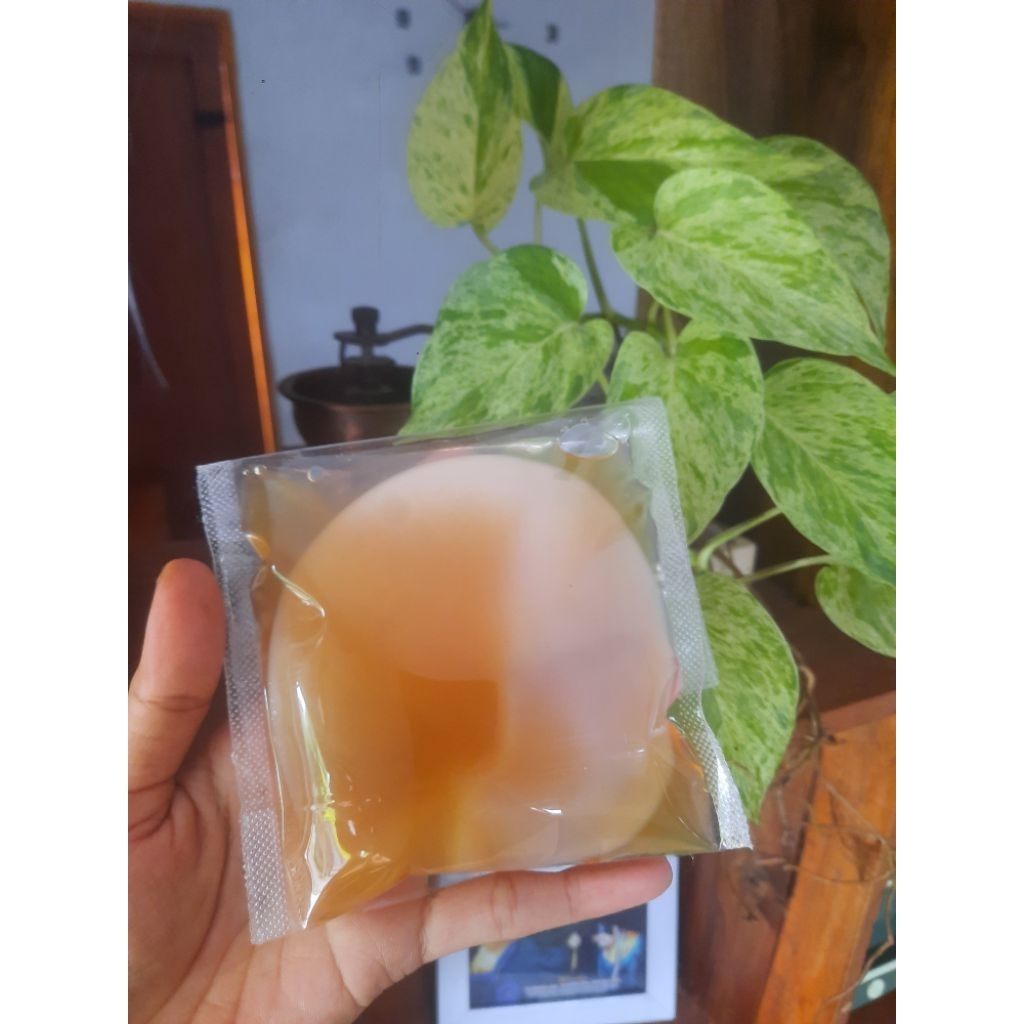 

Started Kombucha+Scobby Jumbo