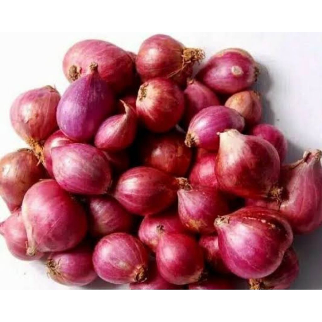 

Bawang Merah.
