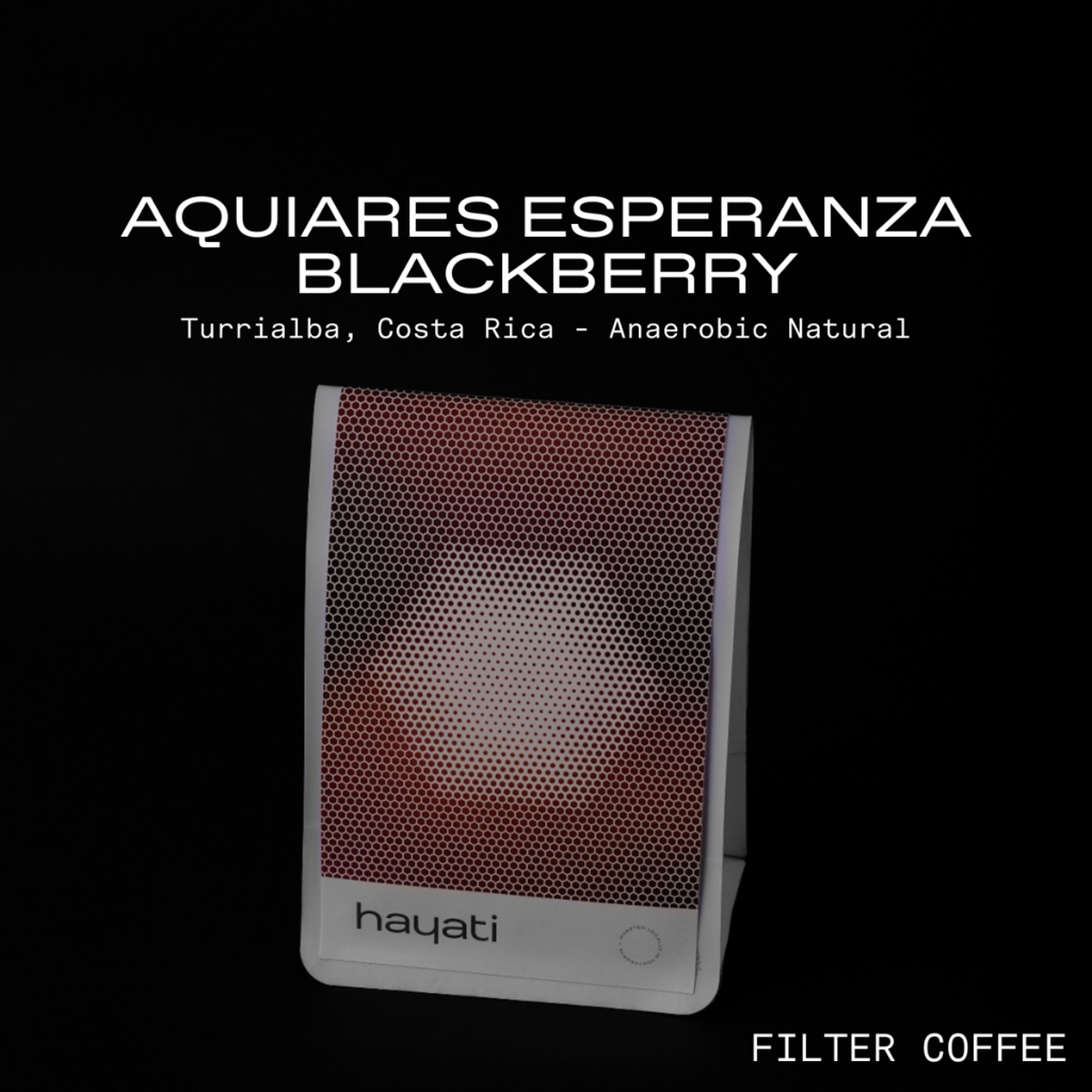 

AQUIARES ESPERANZA BLACKBERRY | ANAEROBIC NATURAL | SPECIALTY COFFEE FILTER - 100gr/200gr
