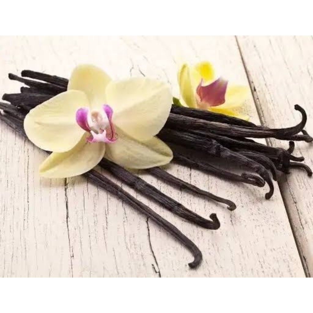 

Vanilla Kering Premium