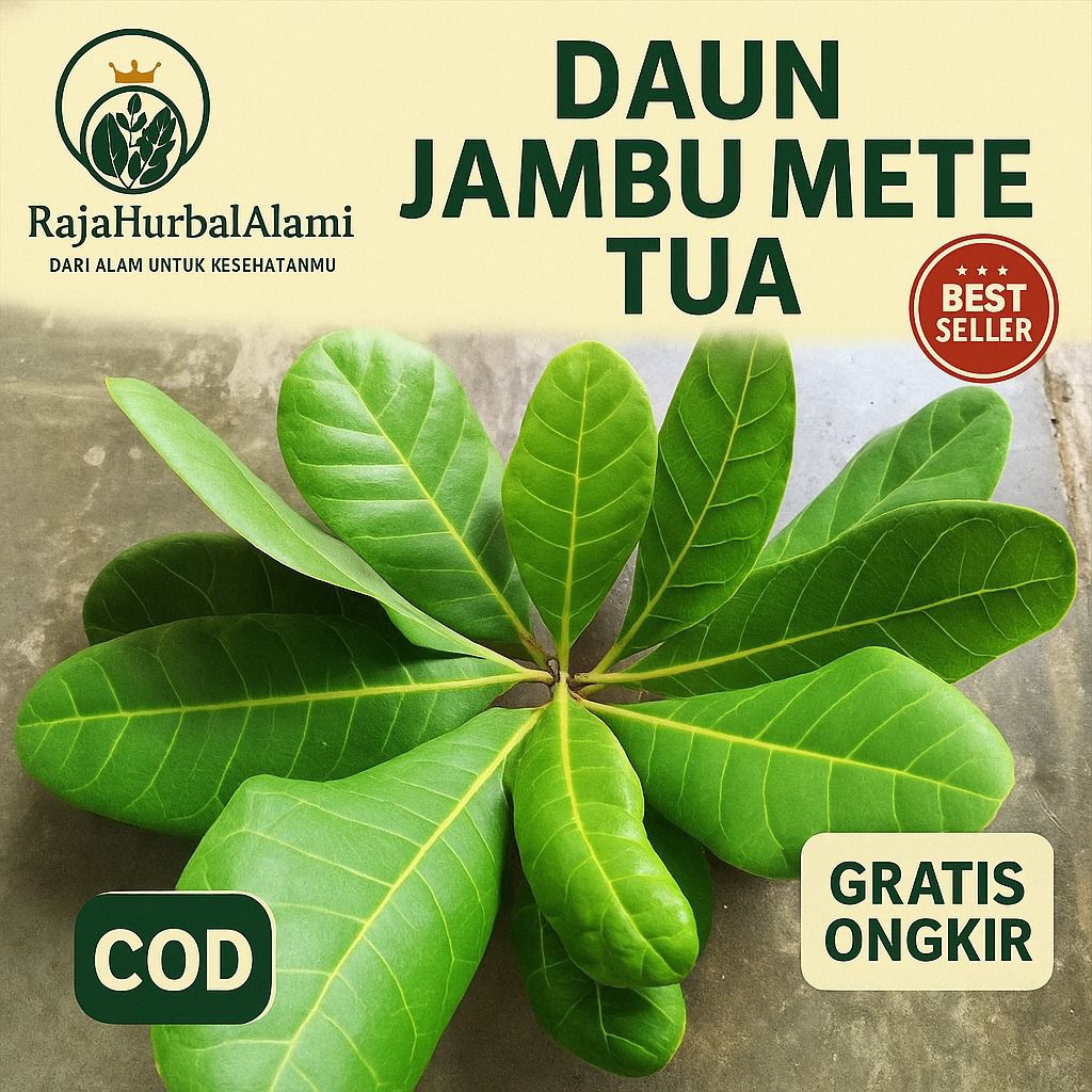 

Daun Mete Tua Per 100Gr Murah Di Petik Dadakan I COD & GRATIS ONGKIR
