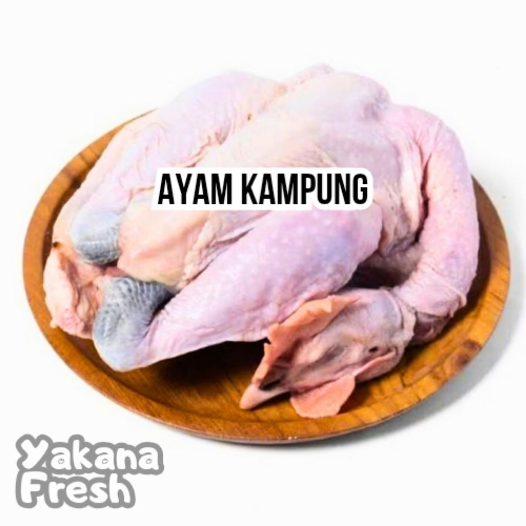

Ayam Kampung 1Kg
