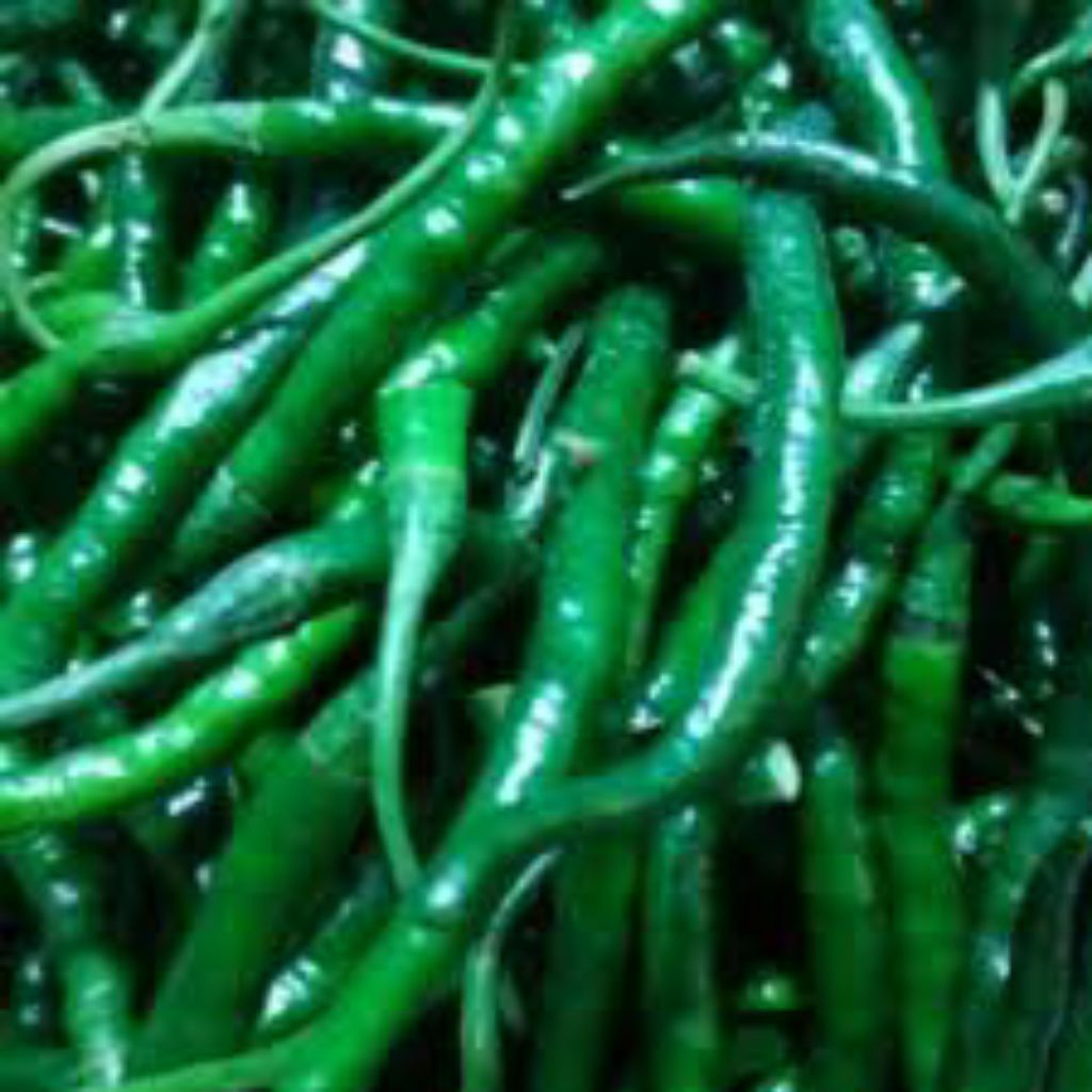 

cabai hijau keriting 500g