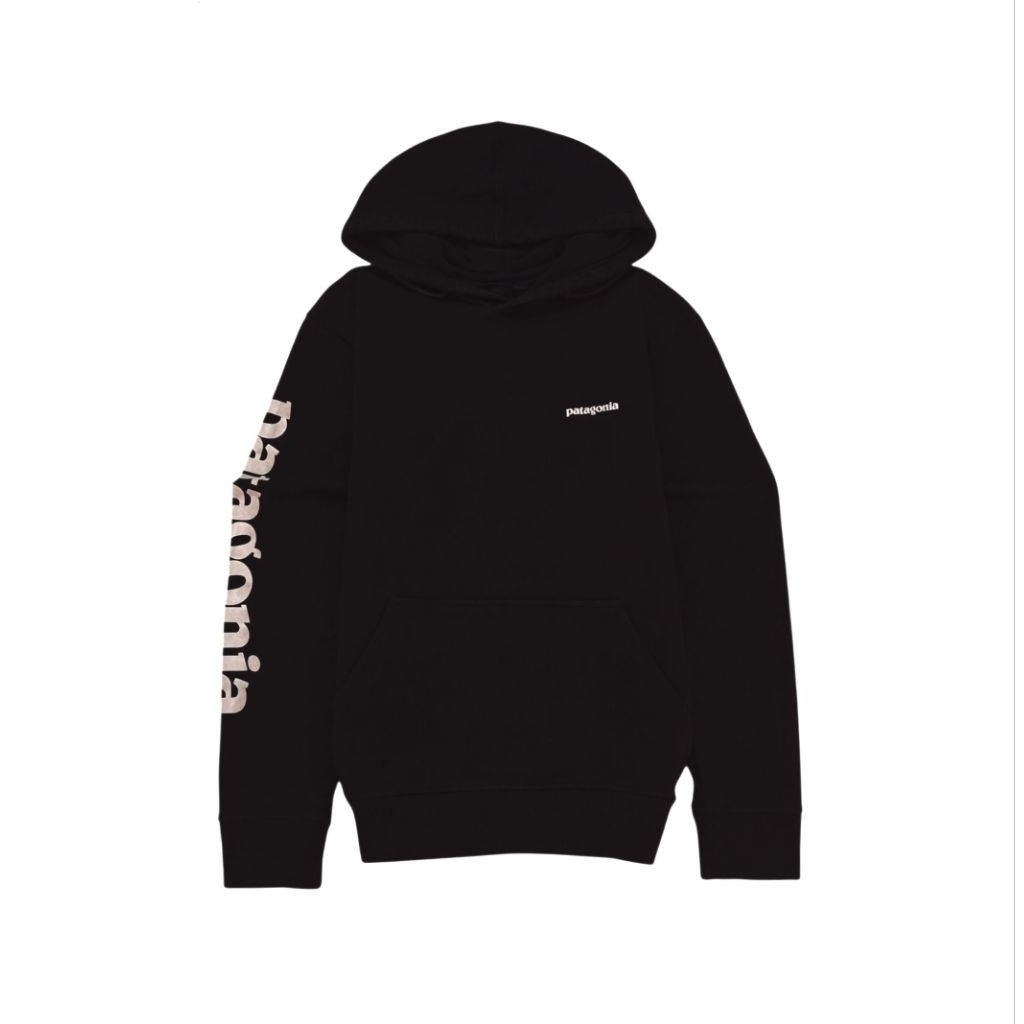 Hoodie Patagonia