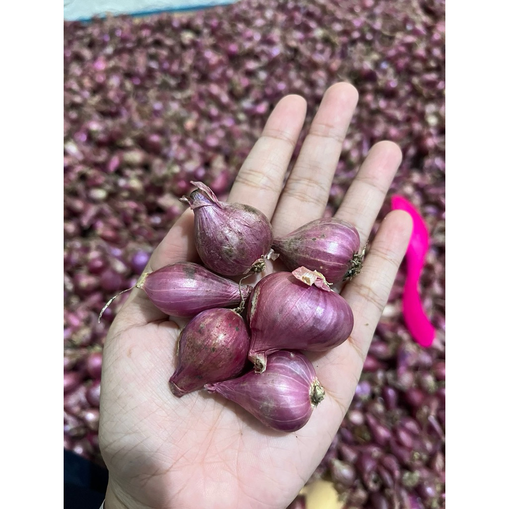 

Bawang merah 10kg