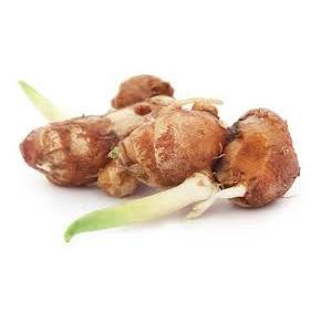 

Kencur/Cikur Fresh 1 KG Murah