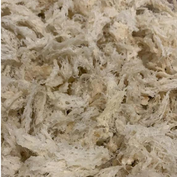 

Sarang Walet Patahan Sarang Walet Bersih Siap Masak 100 gr / 200 gr / 400 gr