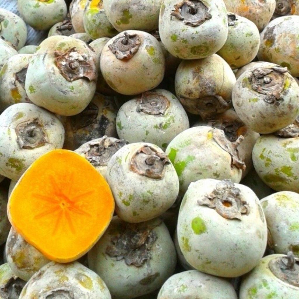 

Buah kesemek manis matang isi 1KG