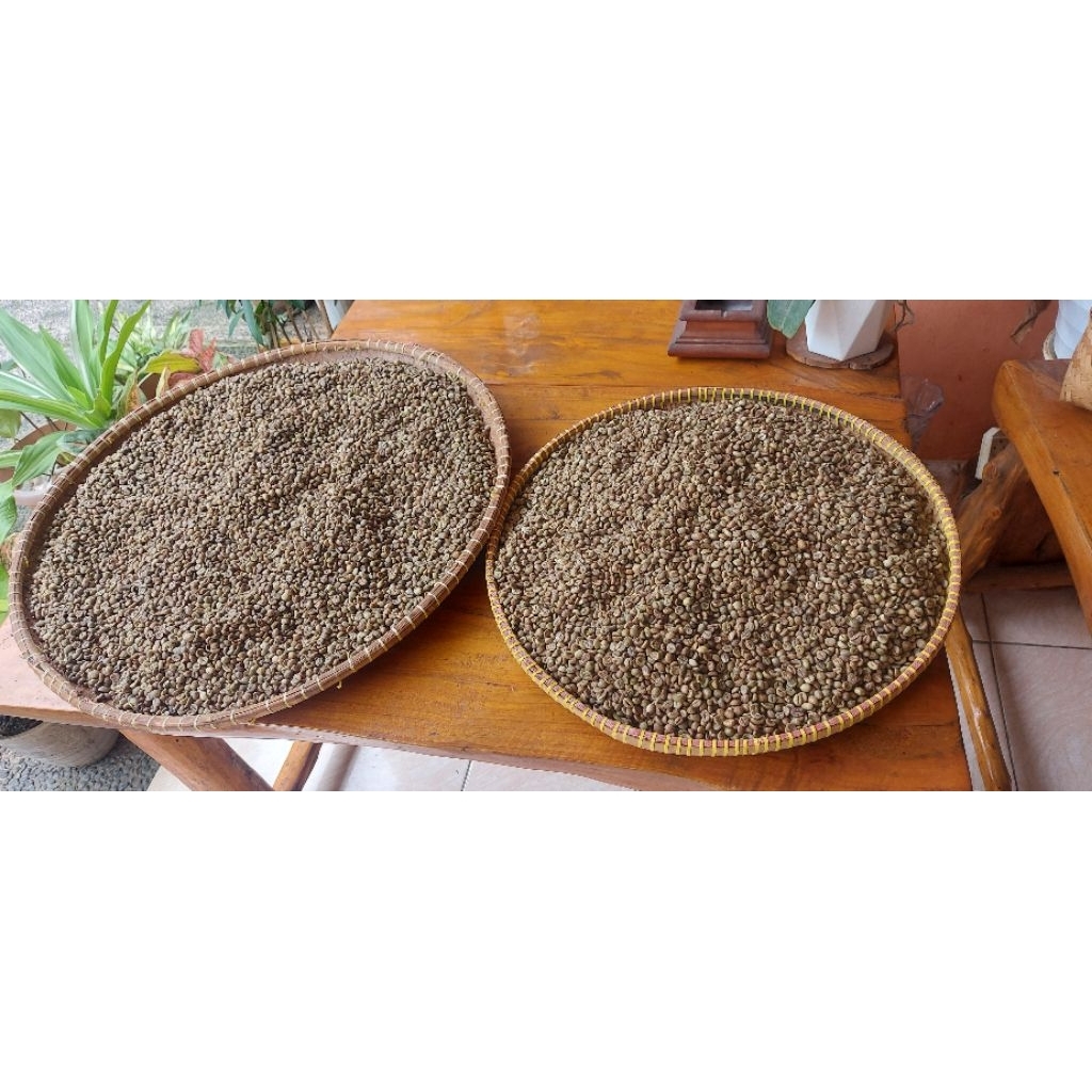 

Kopi Robusta Lampung Biji Besar
