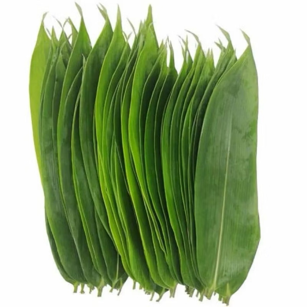 

Promo 1kg Daun Bambu Bakcang/Daun Bambu Fresh untuk Bacang/Daun Awi Segar