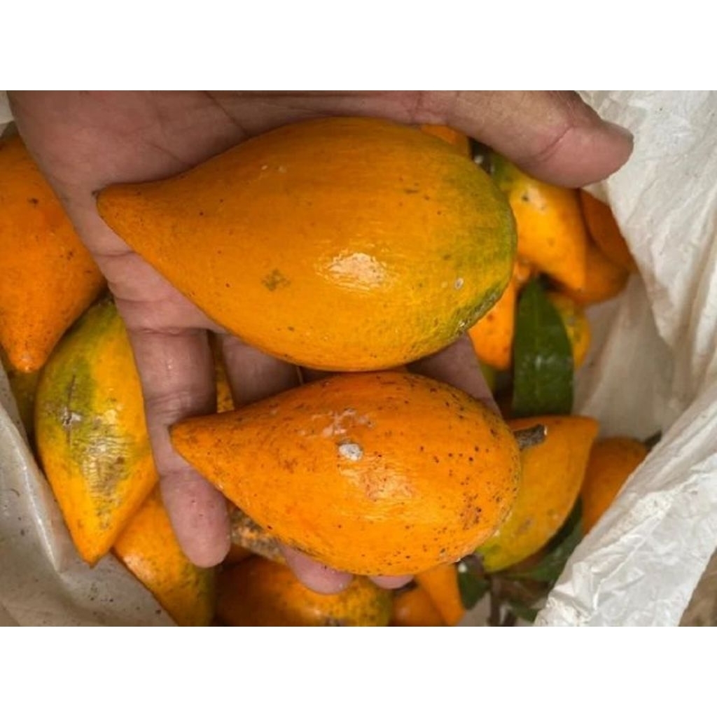 

1kg sawomentega/alkesa