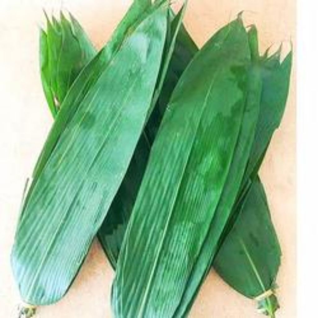 

Daun Bambu Jumbo 8-10cm Bungkus Bacang 100 Lembar Daun Bambu Jumbo