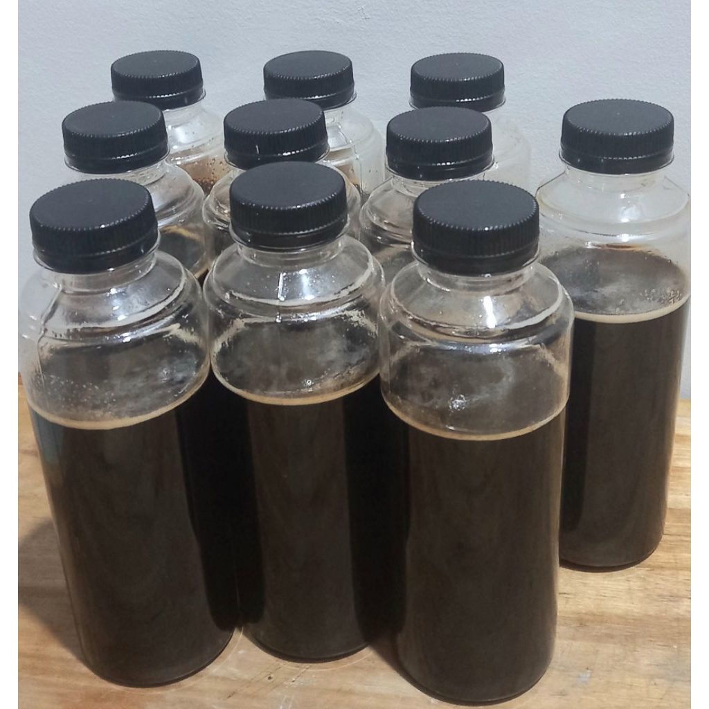 Madu hutan riau asli