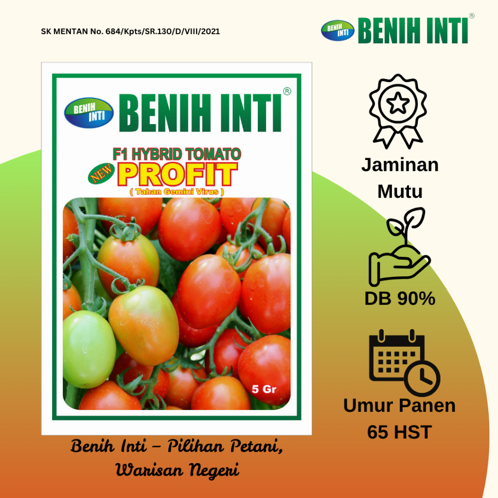 Benih Inti Benih Tomat Hibrida New Profit