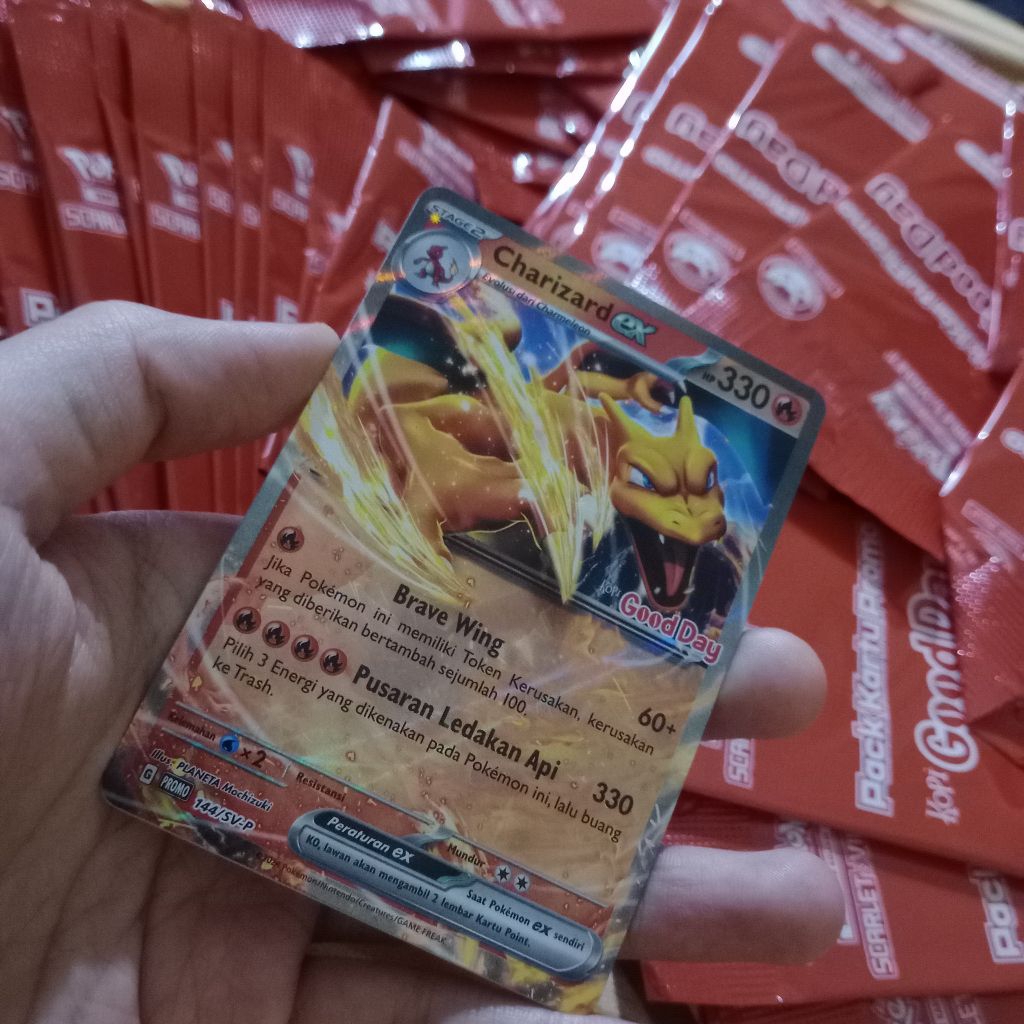 Pokemon Good Day Charizard