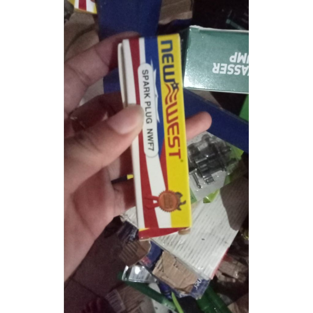 Busi Potong Rumput 2tak 4tak merk BOSCH
