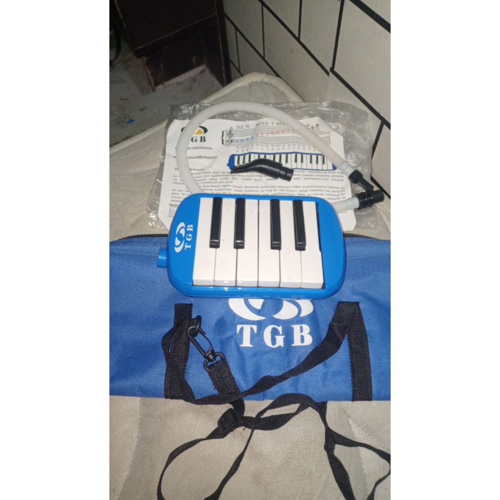 pianika TGB 6 tombol(potongan) ala ala pianika basuri