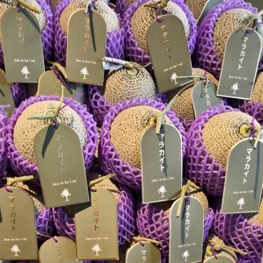 

Buah melon marakaito super utuh melon jepang manis pcs