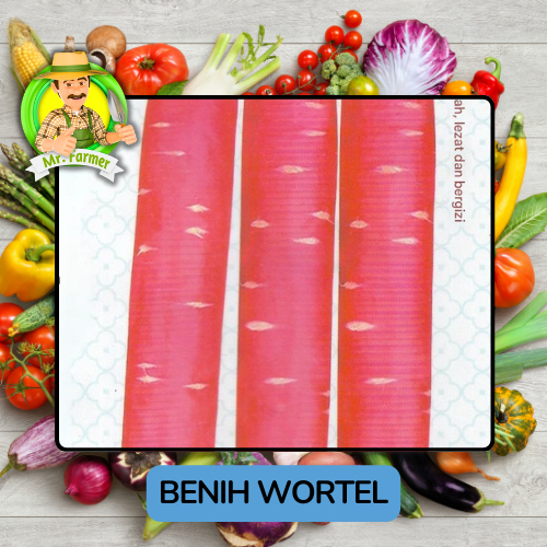Jenis Benih Sayuran Wortel Bibit Sayuran Wortel Kuning Wortel Ungu Wortel Merah