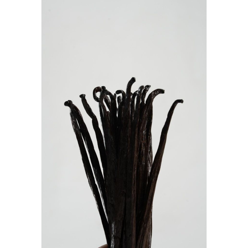 

Adore Vanilla Beans Gourmet Bourbon 3 Biji 16–18cm (Halal, BPOM) – Premium untuk Baking & Dessert