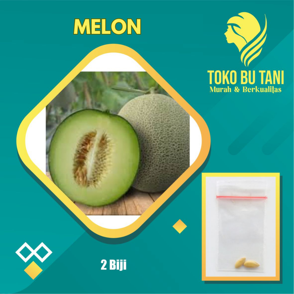 Benih Buah Melon Bibit Buah Melon Benih Buah-buahan Berkualitas