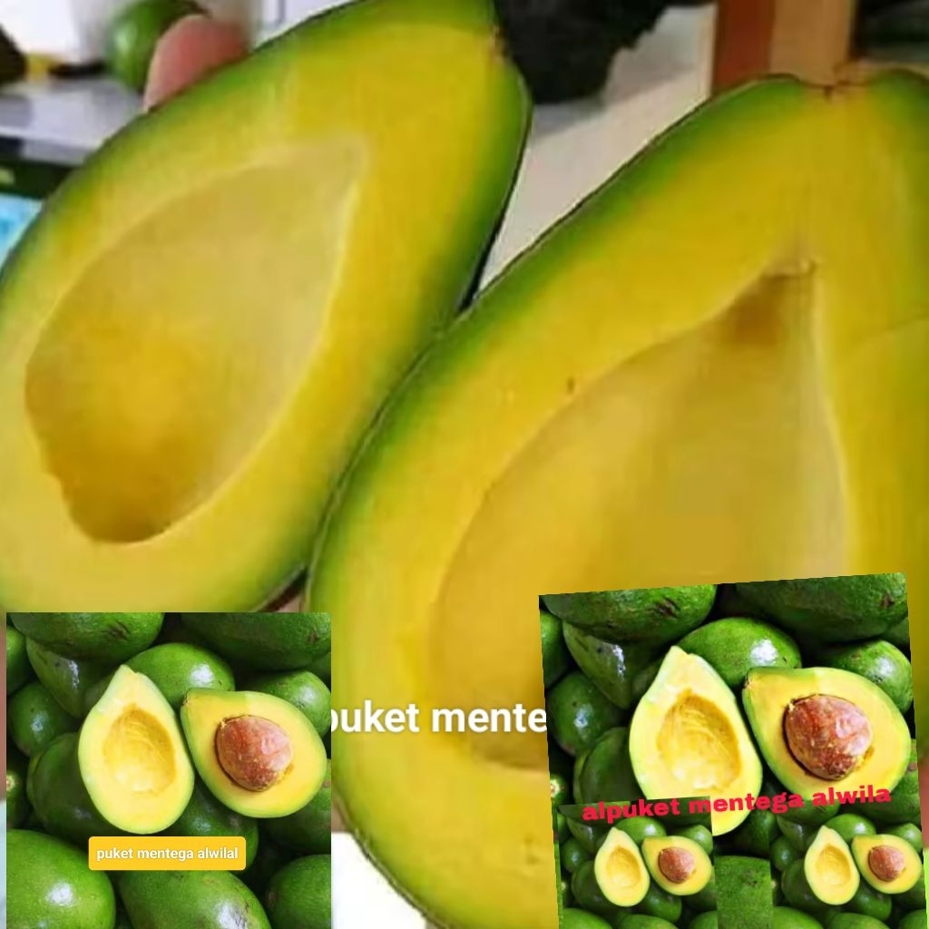 

alpuket mentega fresh 1kg isi 3.4.5