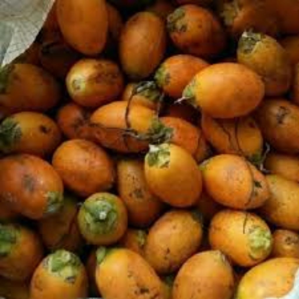 

buah pinang tua/Jambe 1 kg