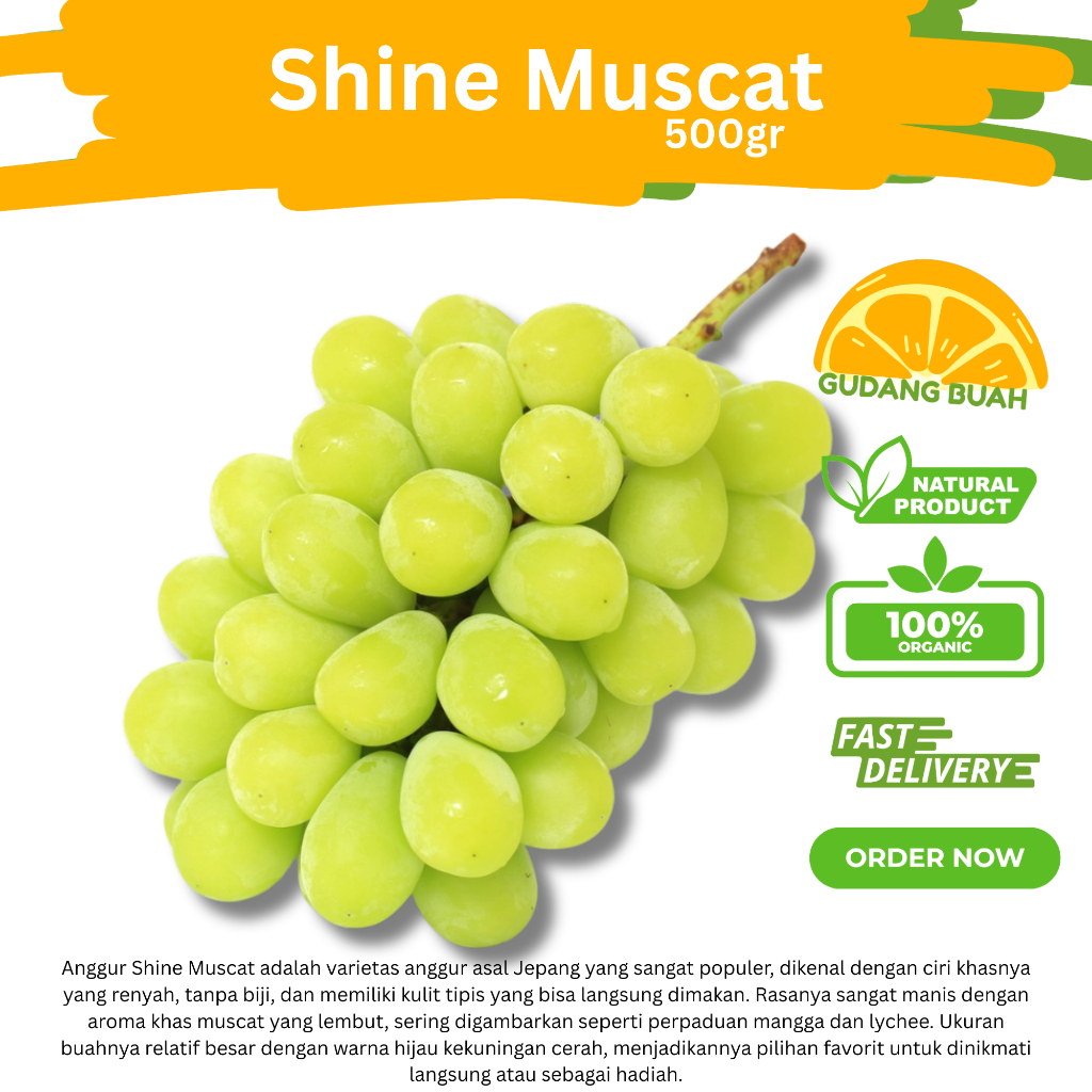 

Anggur Hijau Australia Super Import ANGGUR HIJAU MUSCAT 500gr Packing Mika