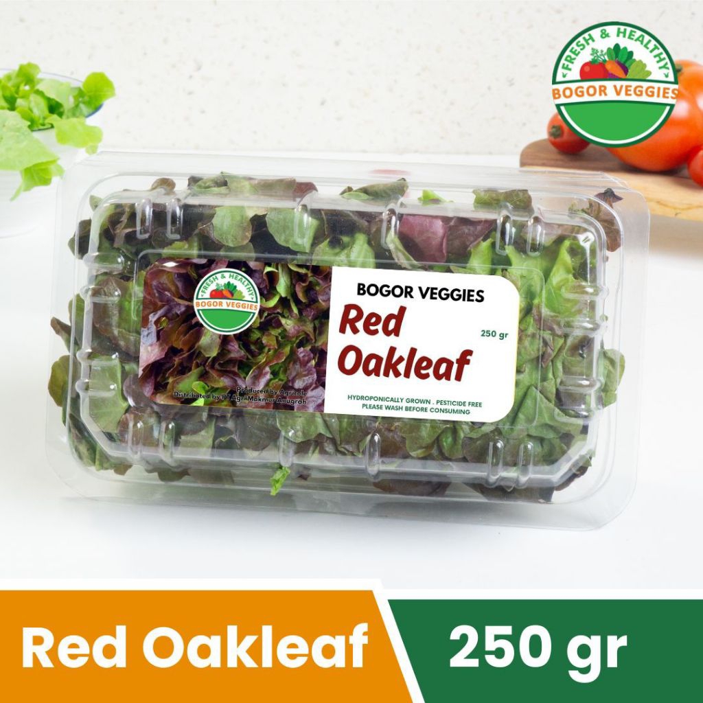 

Red Oakleaf 250gr Bogor Veggies